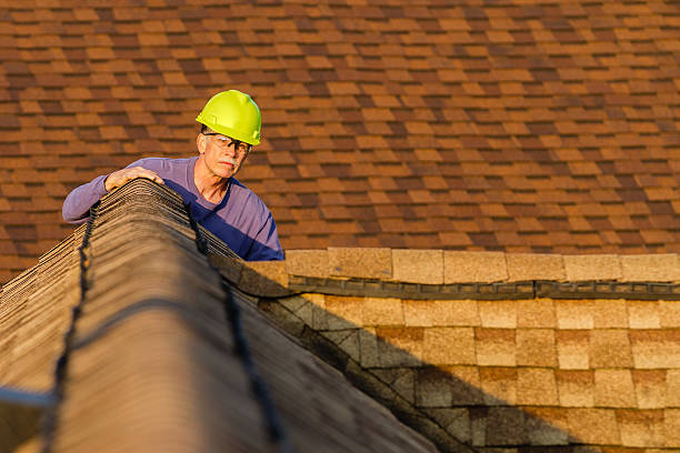 Best Roof Gutter Cleaning  in Candler Mcafee, GA